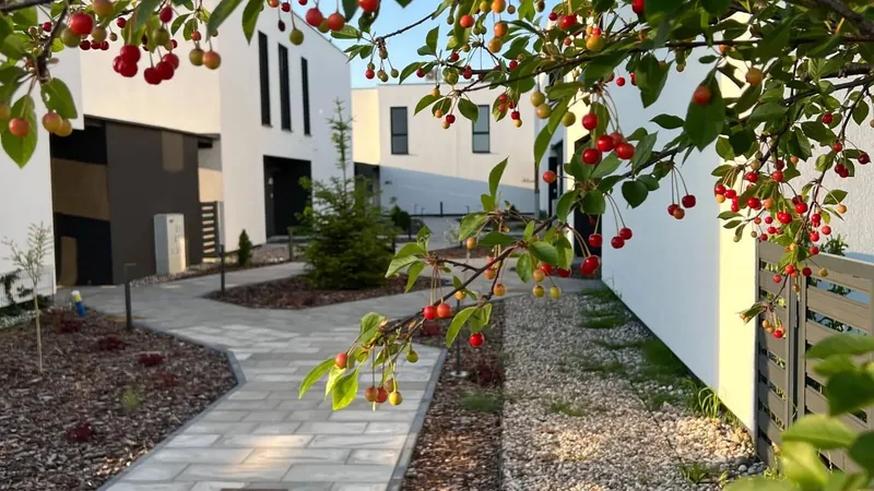 Codzienne życie na osiedlu — ogród przy domu w Porcie Drzewnym